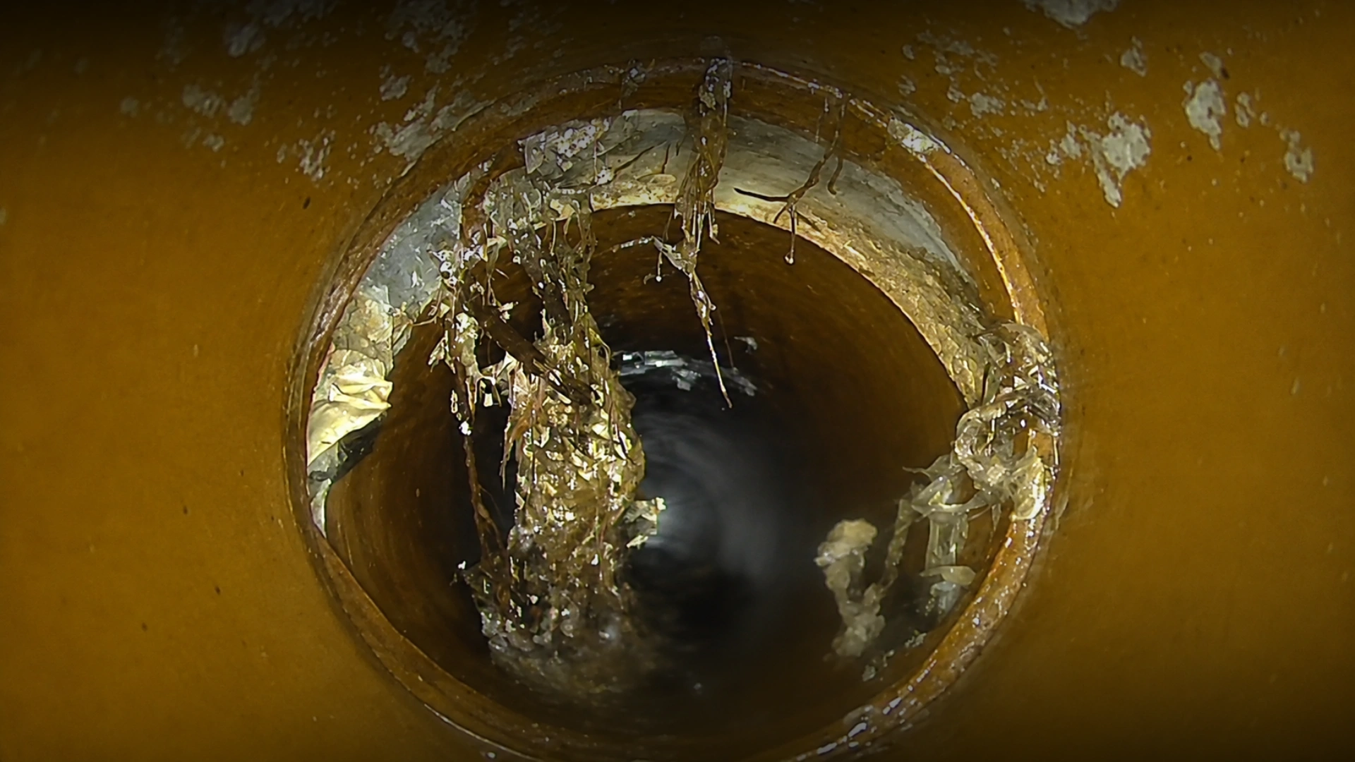 CCTV Drain Inspections Palmerston North