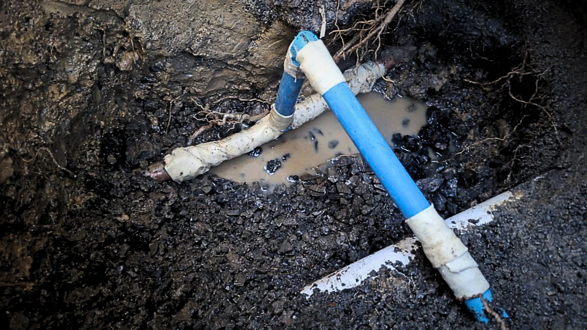 Water Leak Repairs Palmerston North