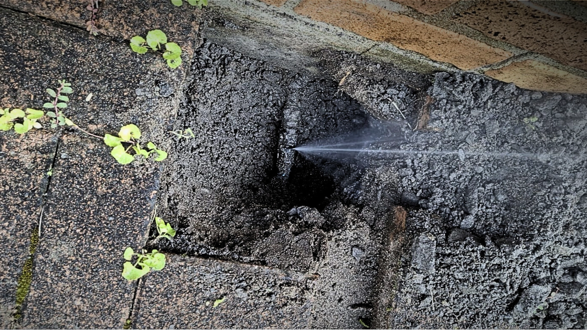 24/7 Emergency Plumber Palmerston North